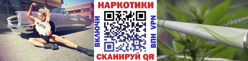 A PVP Талдом