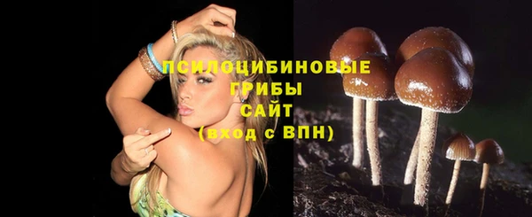прущий лед Карталы