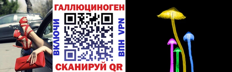 Галлюциногенные грибы Cubensis  Купить закладки  Талдом 